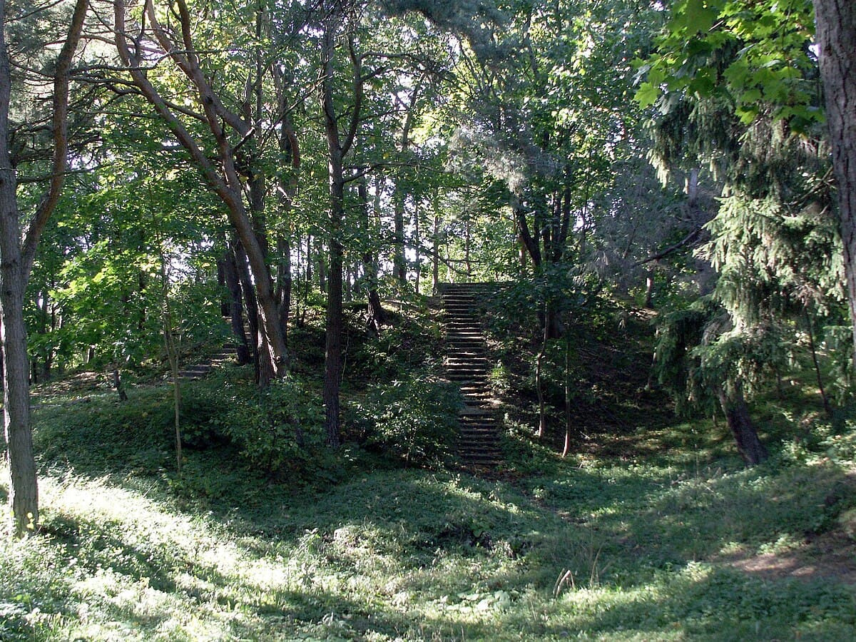 Amber specimens displayed in the ornate halls of Tiškevičiai Palace