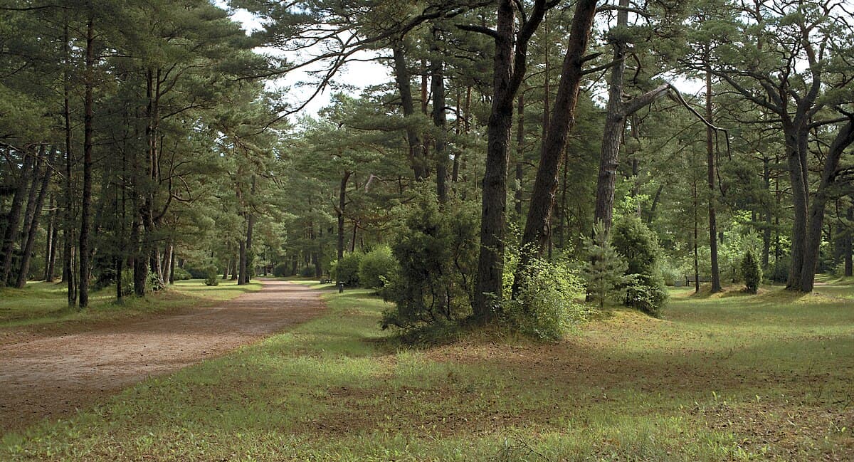 Chapel atop Birutė Hill in Palanga surrounded by ancient trees