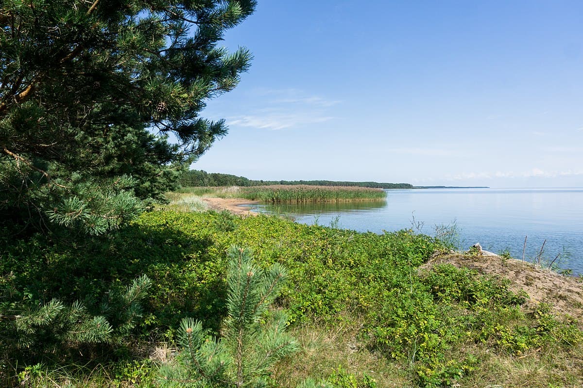 Row of traditional blue-and-brown fishermen's houses on the Curonian Spit