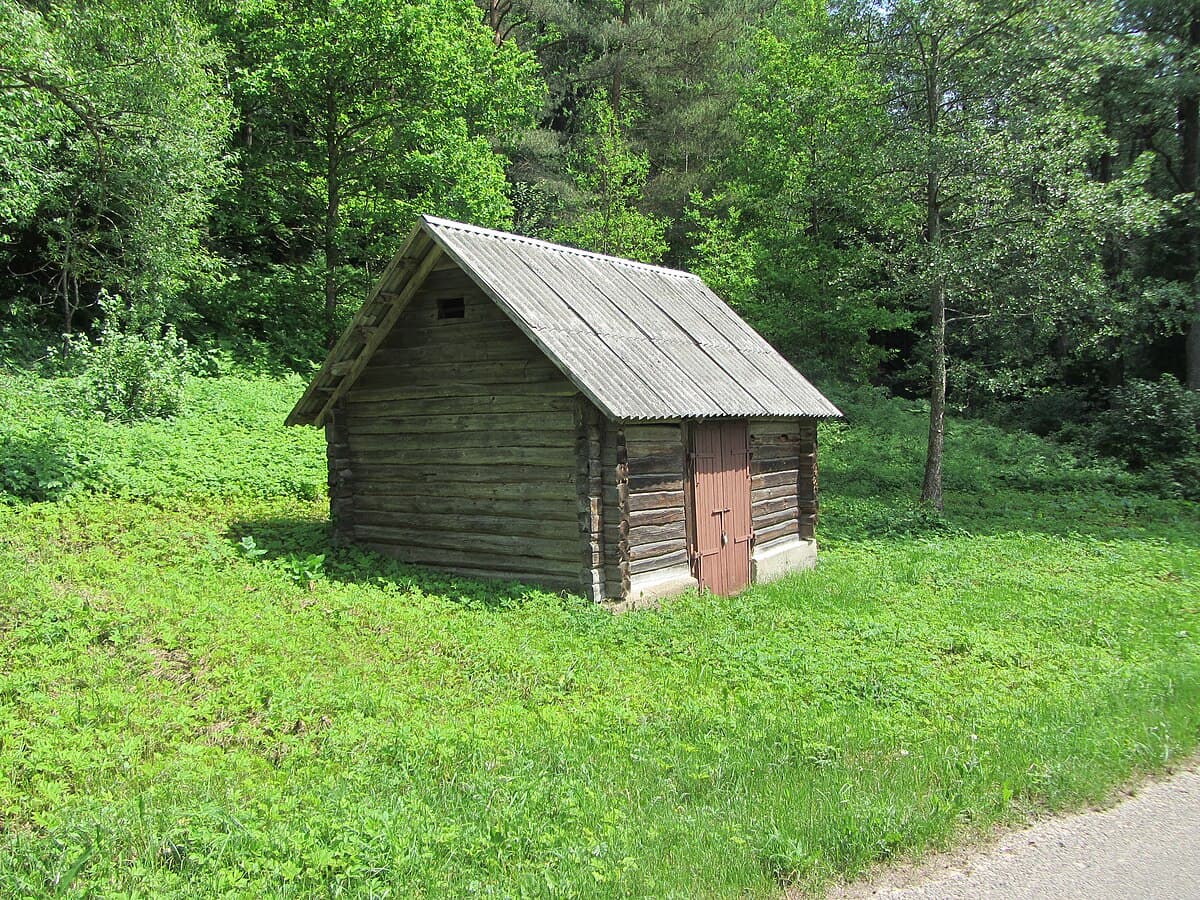The five hillfort mounds of Kernavė rising above the Neris River valley