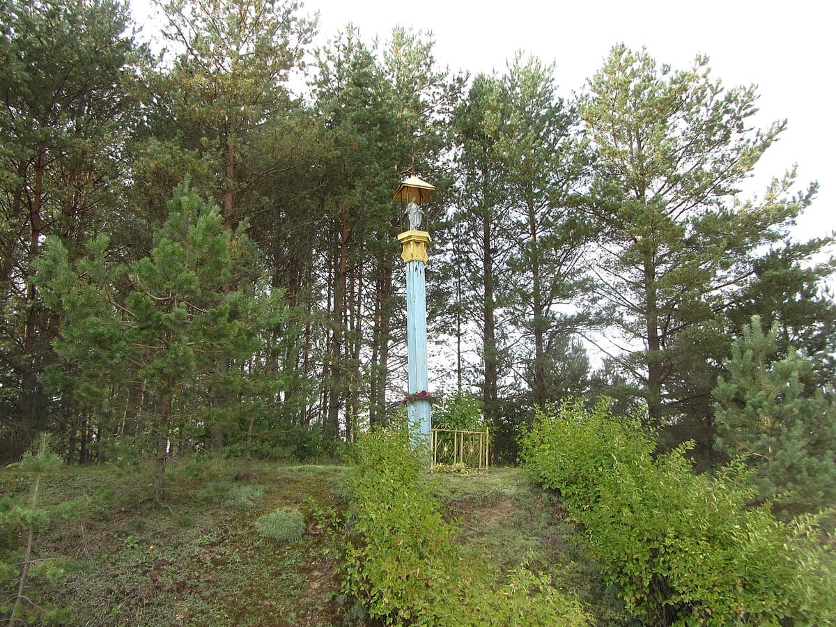 Basket of wild mushrooms gathered in the Labanoras forest