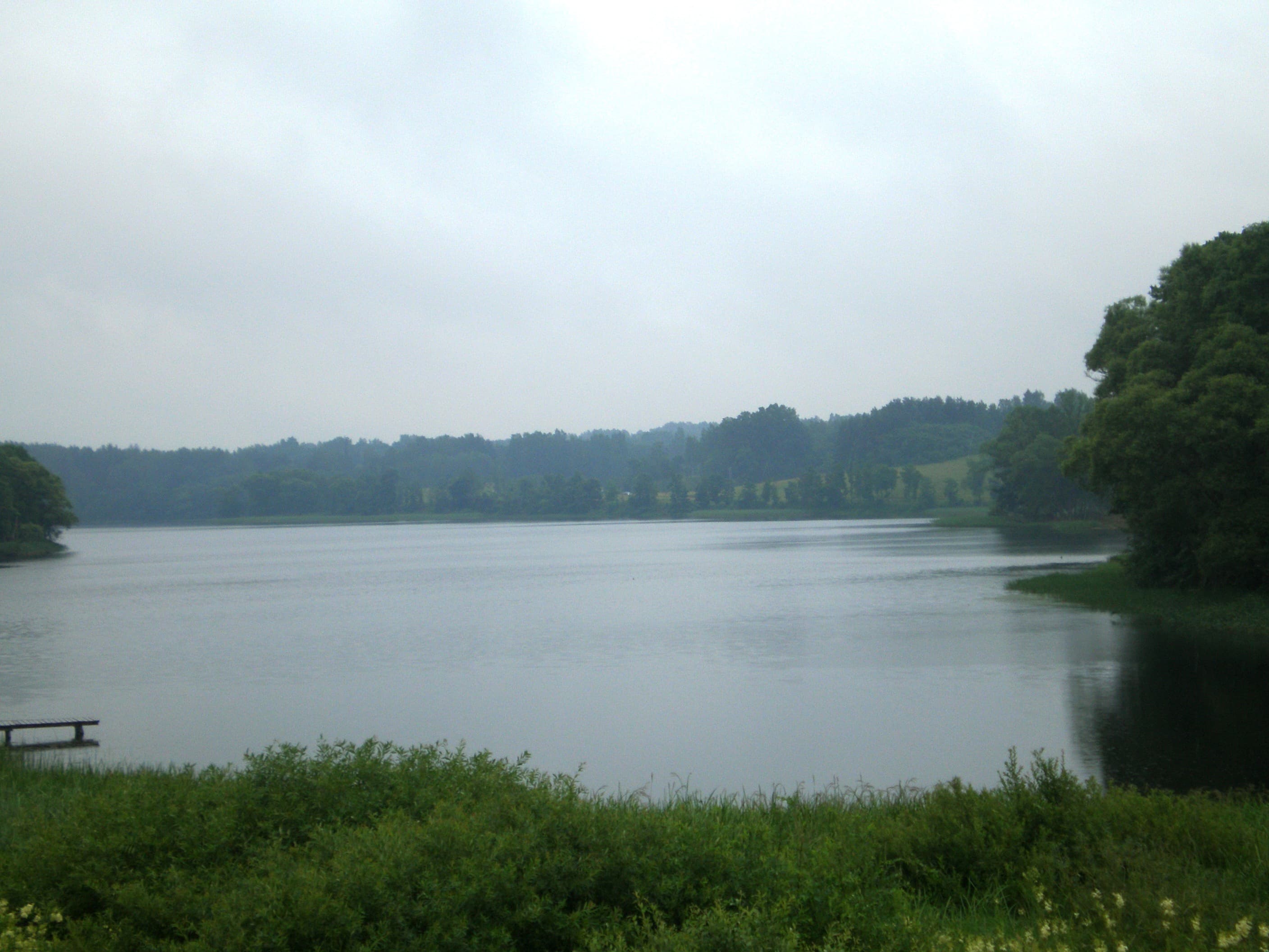 Crystal-clear waters of Lake Tauragnas surrounded by forest