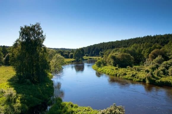 Kayakers on the clear waters of the Merkys River surrounded by forest