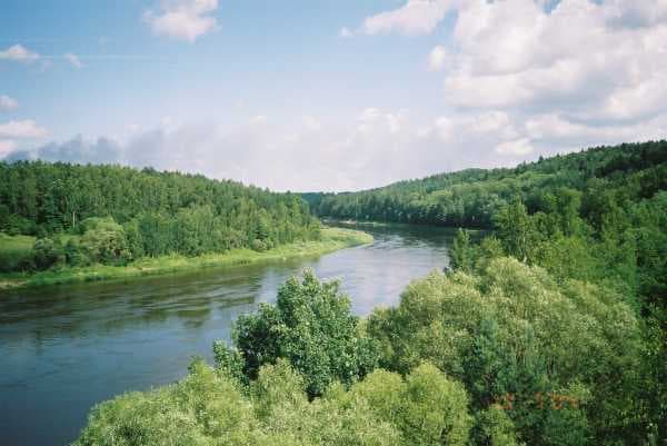 Dramatic oxbow loop of the Nemunas River seen from a forested bluff