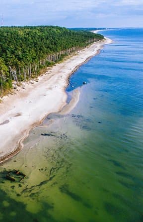 The dramatic eroding cliff face of Olando Kepurė on the Baltic coast