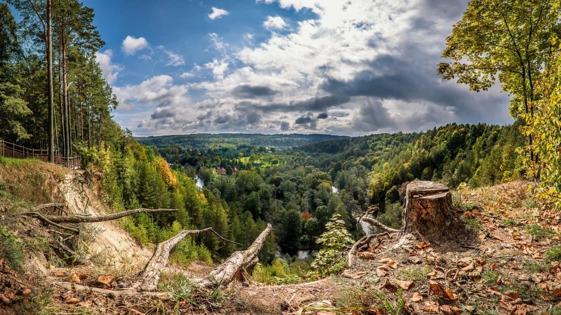The towering sandy cliff of Pūčkoriai Exposure above the Vilnia River