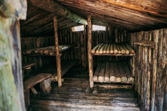 Concrete entrance to a Cold War bunker half-hidden in forest near Šiauliai