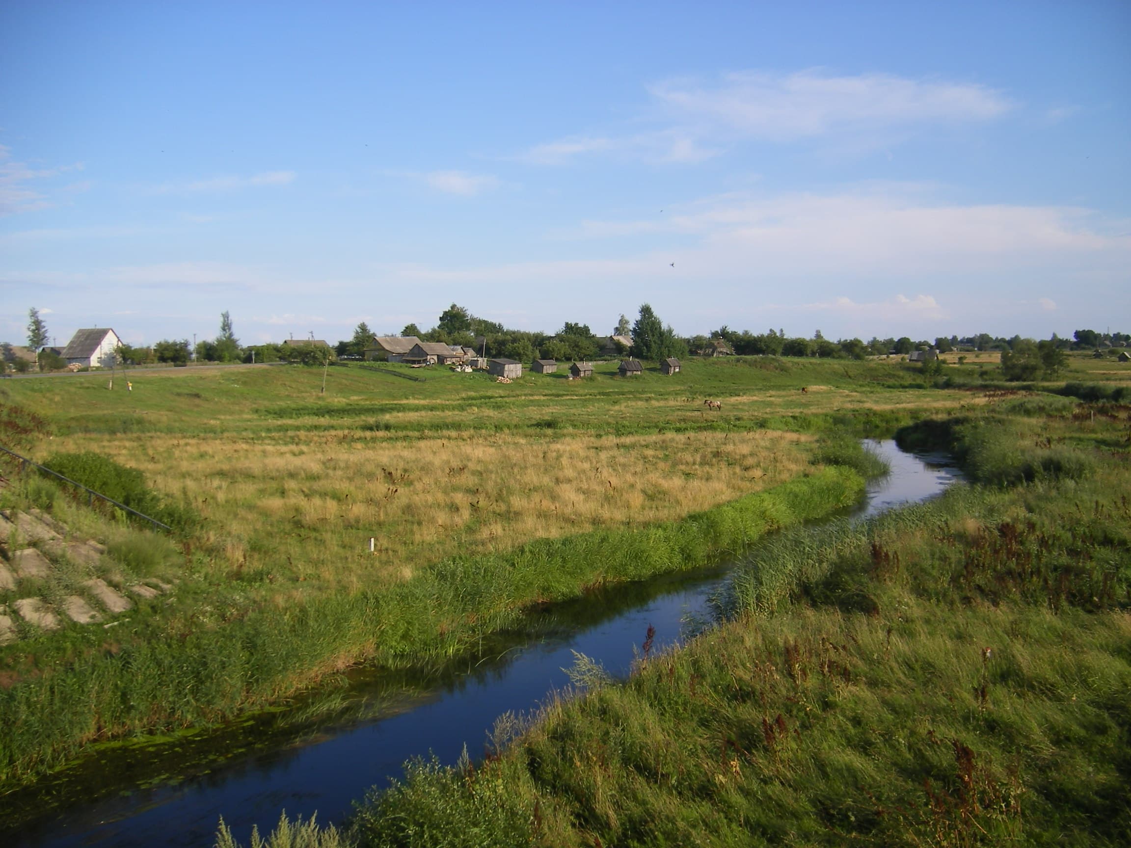 Crystal-clear lake surrounded by forest in Sirvėta Regional Park