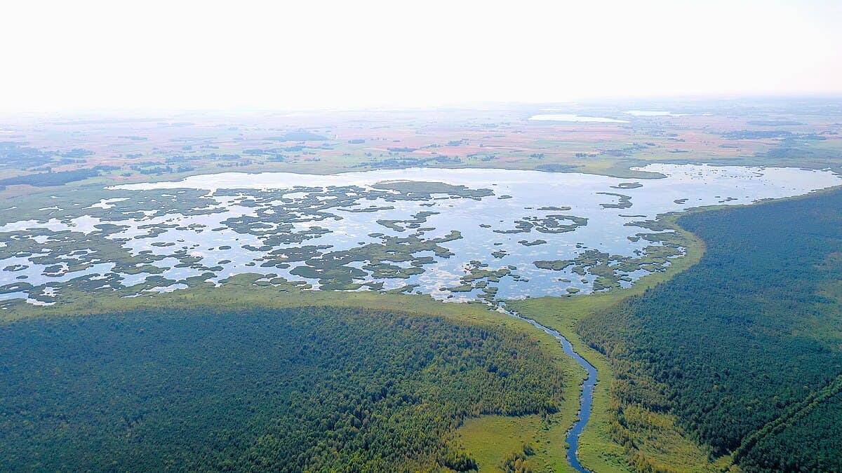 White stork nesting on a rooftop in a Lithuanian village near Žuvintas