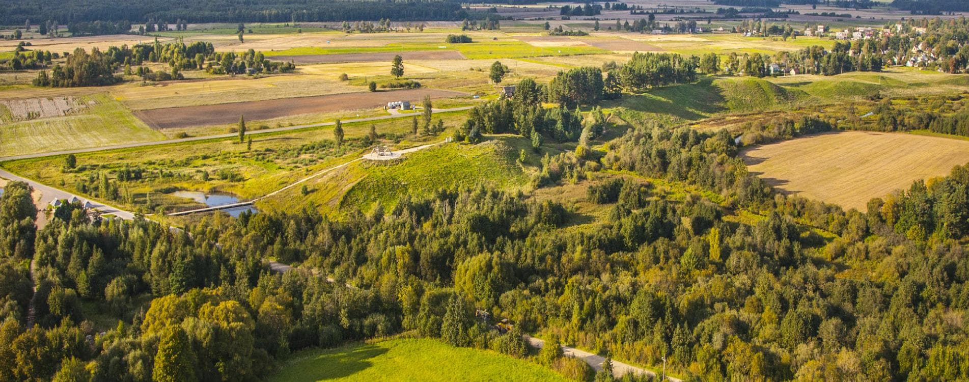 Wooden boardwalk winding through the Tyruliai raised bog